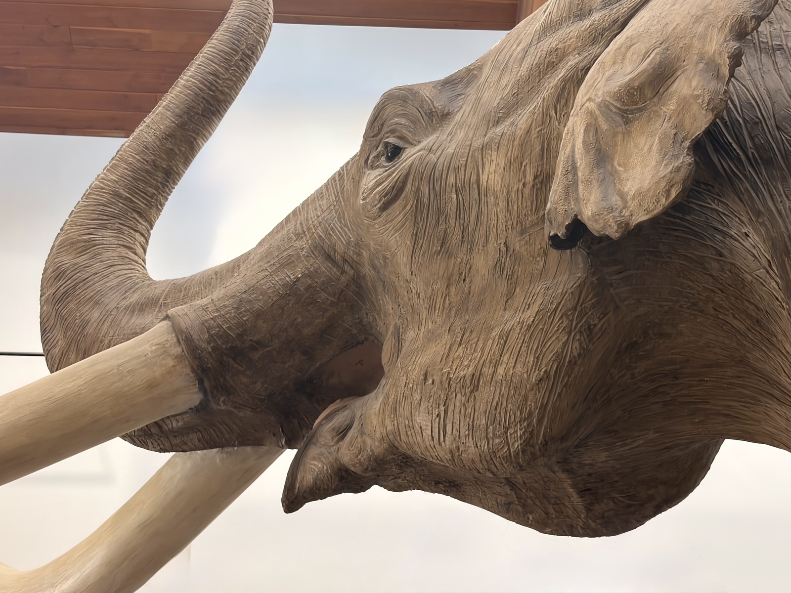 Mammoth Site, South Dakota